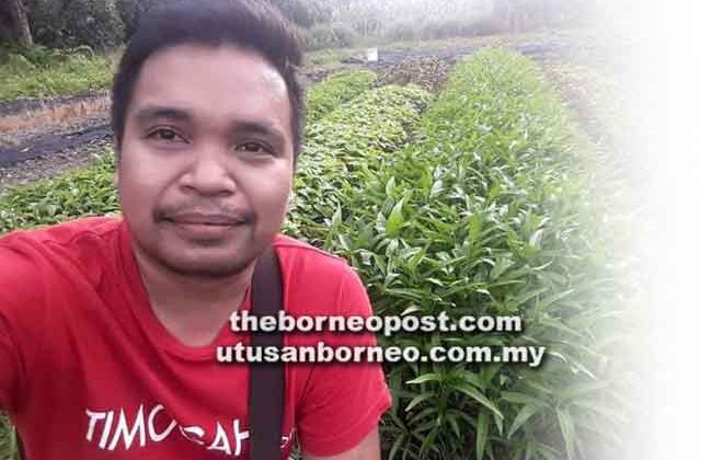 TIMOGAH.com Jual Sayur Kampung Secara Dalam Talian