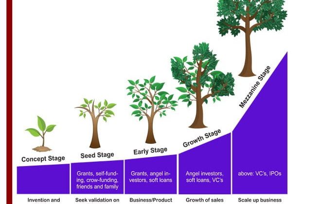 Cultivating An Ecosystem For Start Ups