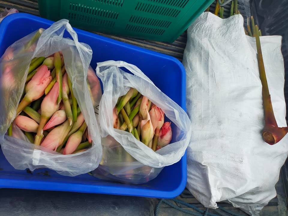 Jom berjual-beli di TIMOGAH – pelbagai sayur kampung, hasil tani dan hasil hutan…