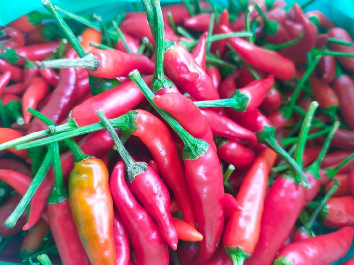 Buy fresh chillies and more at TIMOGAH. We have delivery throughout Kuching to…