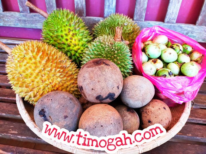 Jom online shopping – www.timogah.com – semua yang terbaik di Borneo. Buah? Sayu…