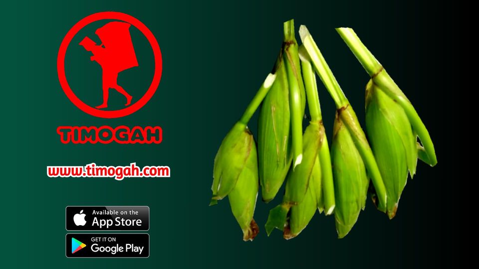 TGIF – Timogah Got It Fresh! Buy jagung manis here now