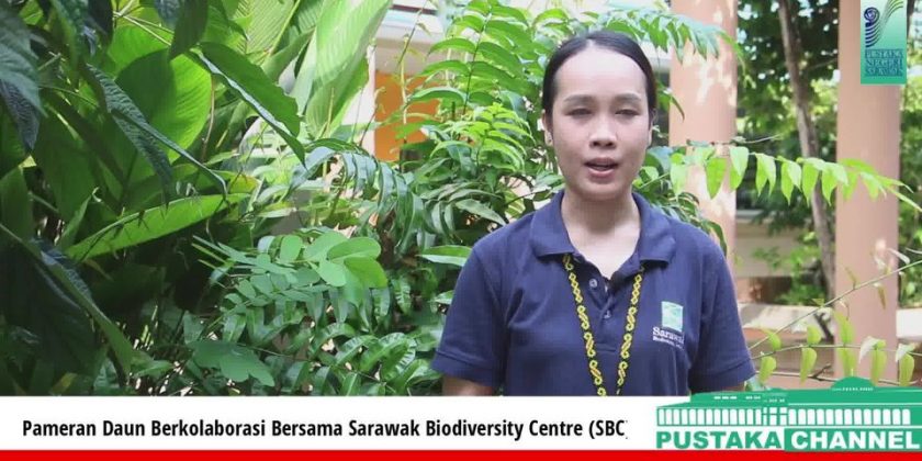 Pameran Daun Berkolaborasi Bersama Sarawak Biodiversity Centre

Sempena Festival…