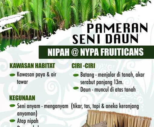 Pameran Seni Daun: Daun Nipah

Pokok nipah ataupun nama botaninya Nypa fruticans…