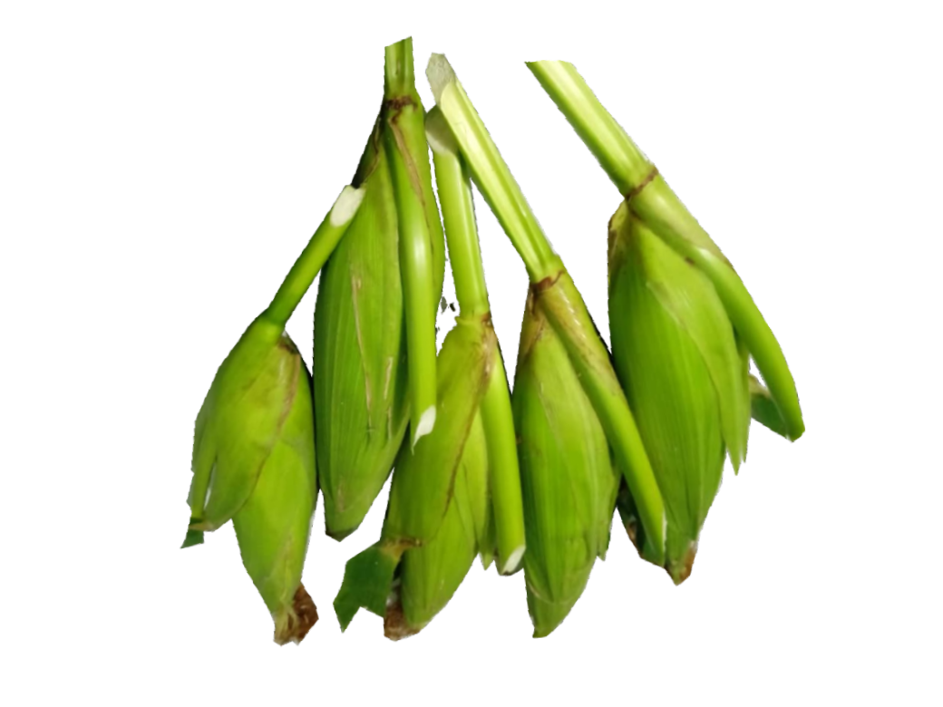 Jagung manis, 5pcs – Timogah